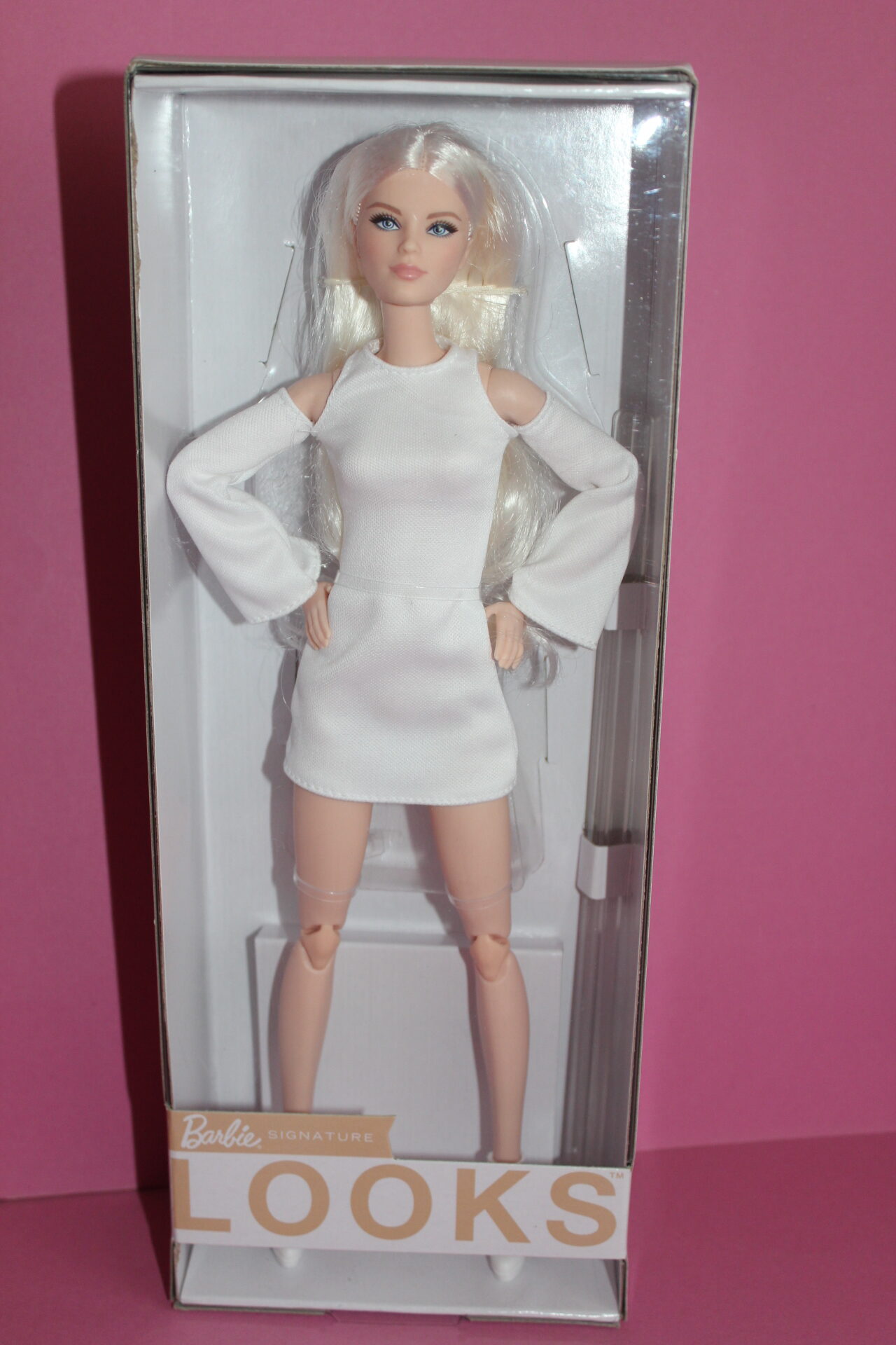 Barbie Collector ” Looks Series” Model #6 NRFB 2021 Sold!!! | ThinkPink